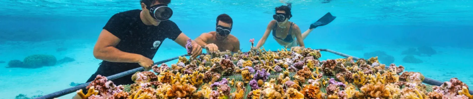 Éco-navigation : Nos conseils pour respecter les fonds marins du Var