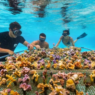 Éco-navigation : Nos conseils pour respecter les fonds marins du Var