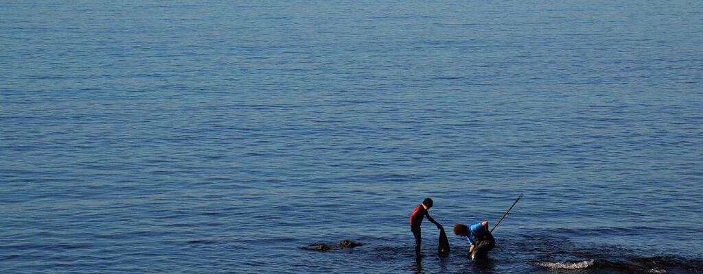 Sortie pêche en rade d&rsquo;Hyères : Quels poissons trouver ?