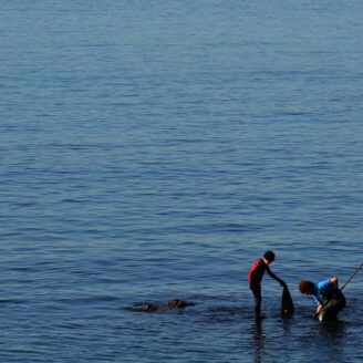 Sortie pêche en rade d&rsquo;Hyères : Quels poissons trouver ?