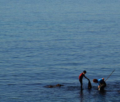 Sortie pêche en rade d&rsquo;Hyères : Quels poissons trouver ?